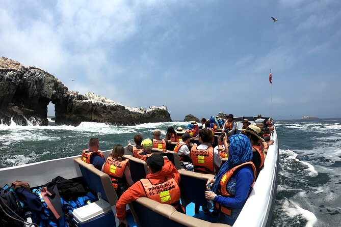 Visit the Sea Lions in Palomino Islands, in Lima Peru - Final Words