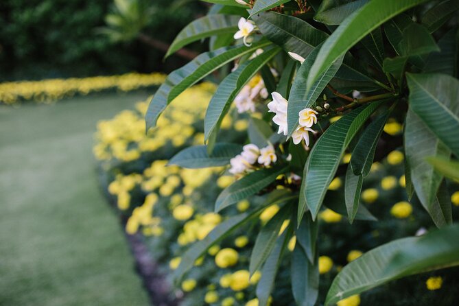 Wanneroo Botanic Gardens Mini Golf Admission - Garden Surroundings and Ambiance