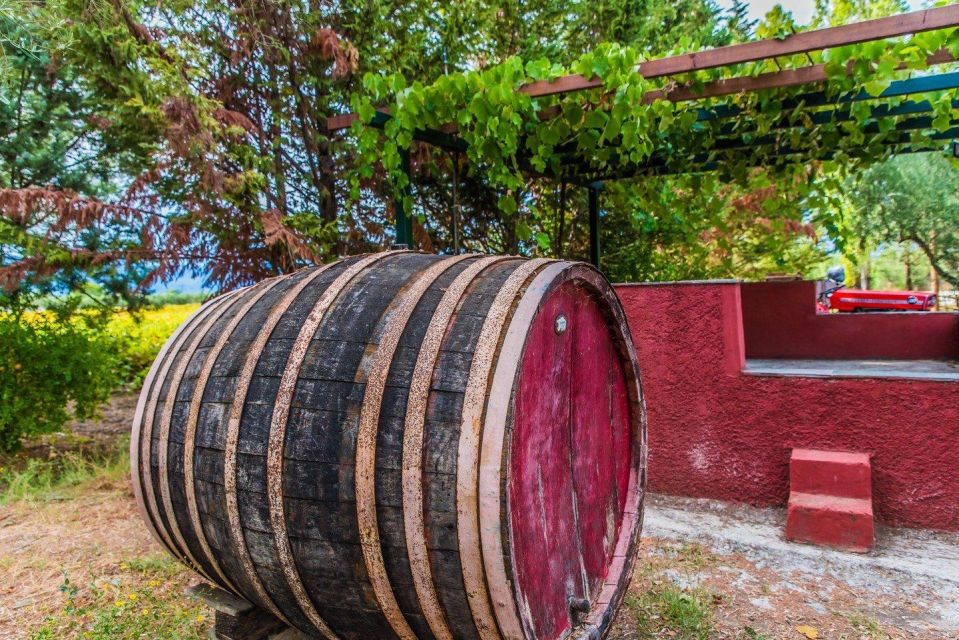 Zakynthos: Private Tour With Wine & Olive Oil Tasting - Booking Information