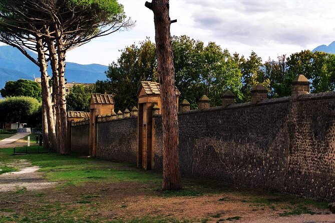 2 Hours Private Tour in Pompeii With Archaeologist - Tour FAQs