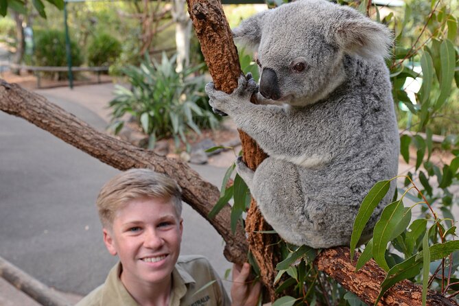 Australia Zoo Day Trip From Brisbane - What Others Are Saying