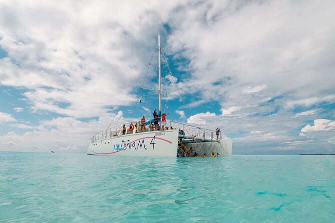 Cozumel Snorkel Tour: Coral Reefs, El Cielo & Beach Break - Final Words