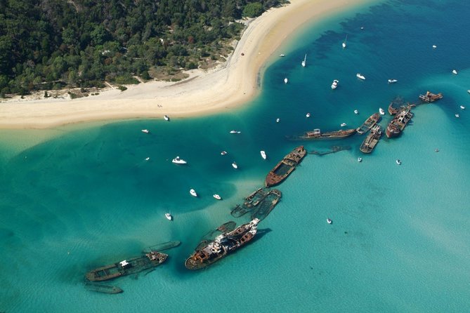 Dolphin Feeding Day Cruise to Tangalooma Island Resort on Moreton Island - What to Expect on Tour