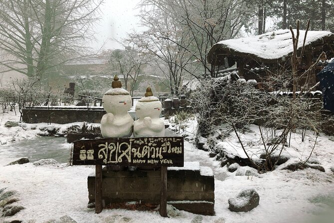 Elysian Gangchon Ski Resort, Nami Island, Garden of Morning Calm - Experience Requirements