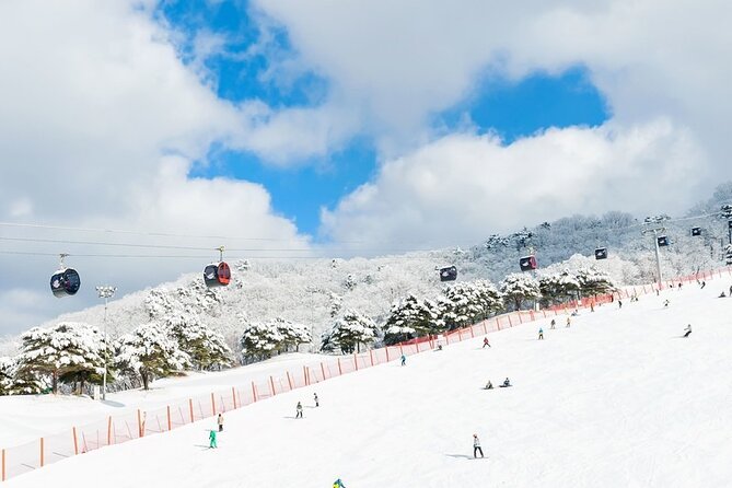 Enjoy Korea Ski Tour and Winter Ocean For 5D 4N - What to Expect on This Tour