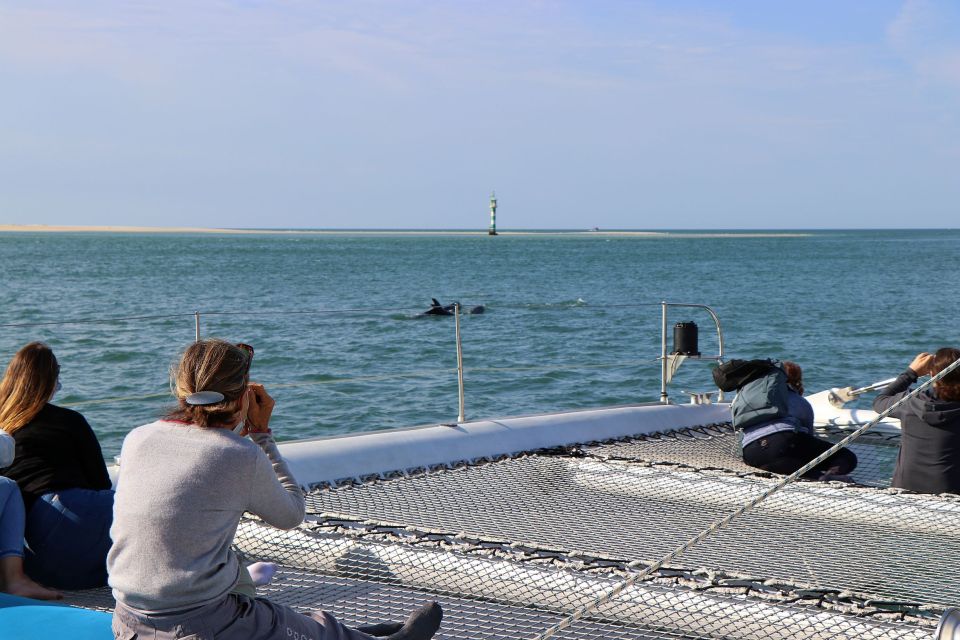 Full-Day Dolphin Watching Tour From Lisbon - Final Words