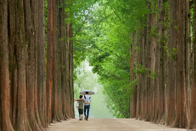 Full Day Private Tour Nami Island, Garden & Petite France - Booking and Cancellation Process