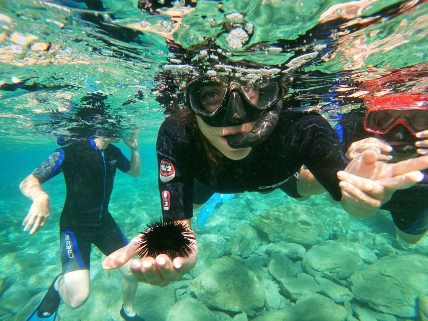 Heraklion: Beginner-Friendly Snorkeling Trip - Common questions