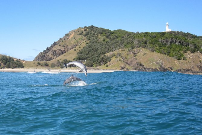 Kayaking With Dolphins in Byron Bay Guided Tour - Whats Excluded From Tour