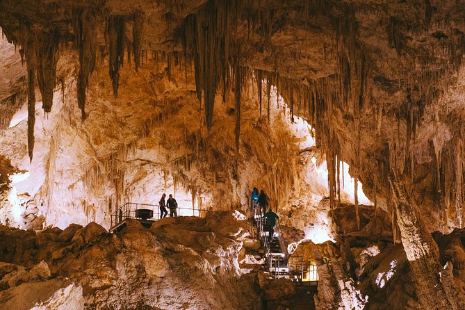 Mammoth Cave Self-guided Audio Tour (Located in Western Australia) - Reviews and Testimonials