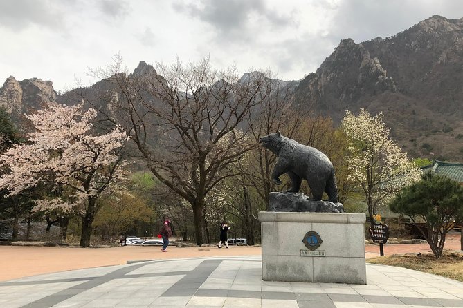 Mt. Seorak+Nami Island+Garden of Morning Calm Day Trip From Seoul - Morning Calm Garden Oasis