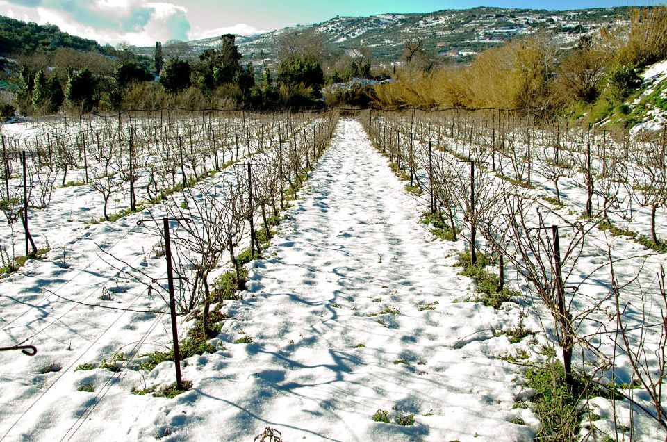 Semi Private Heraklion Valley Wine Tour With Lunch - Common questions