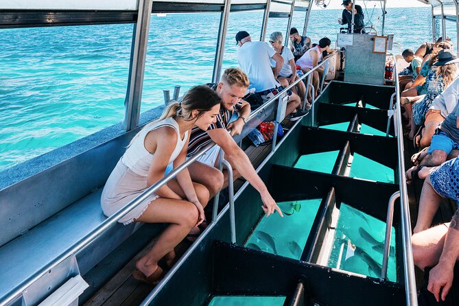 Snorkelling and Glass Bottom Boat at Green Island From Cairns - Planning Your Day Trip