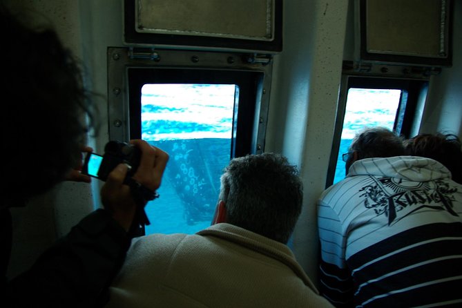 Spirit of Hervey Bay Whale Watching Cruise - Meeting Point and Transfers