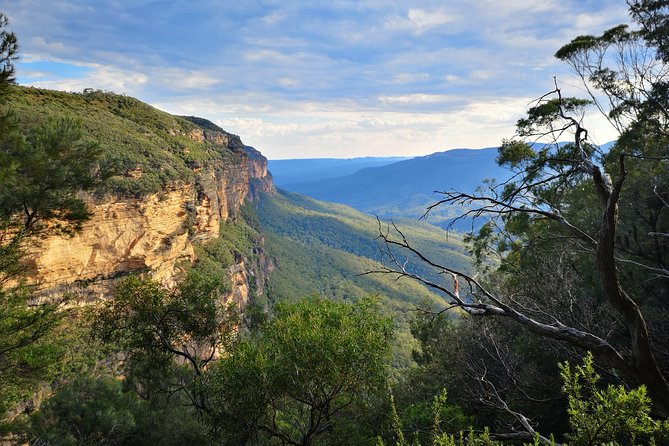 Sunset Blue Mountains Wilderness & Waterfall Tour From Sydney - What to Expect on the Tour