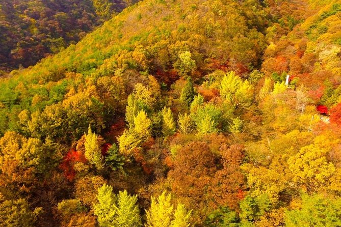 The Beauty of the Korea Fall Foliage Discover 9days 8nights - What to Expect on Your Tour