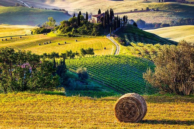 Tuscan Food and Wine Tour of Val Dorcia From Florence - Common questions