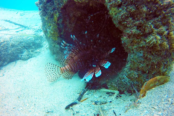 Wave Break Island Scuba Diving on the Gold Coast - Underwater Adventure Awaits