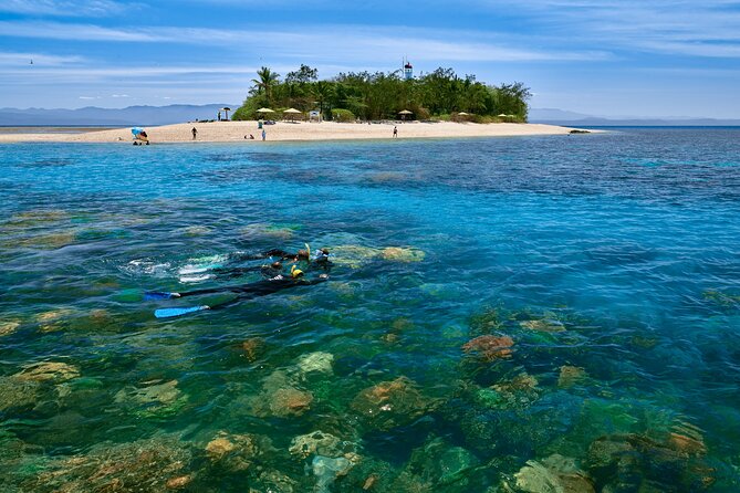 Wavedancer Low Isles Great Barrier Reef Sailing Cruise From Palm Cove - Reviews and Booking Policy