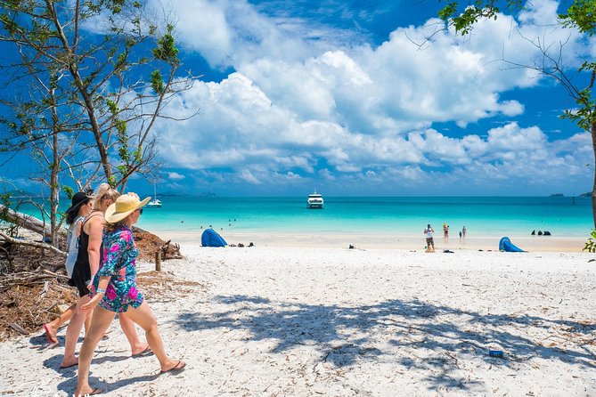 Whitehaven Beach Half-Day Cruises - Departure and Return Points