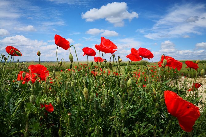 WW1 Australians in the Somme -Villers Bretonneux, Le Hamel - Day Trip From Paris - Directions