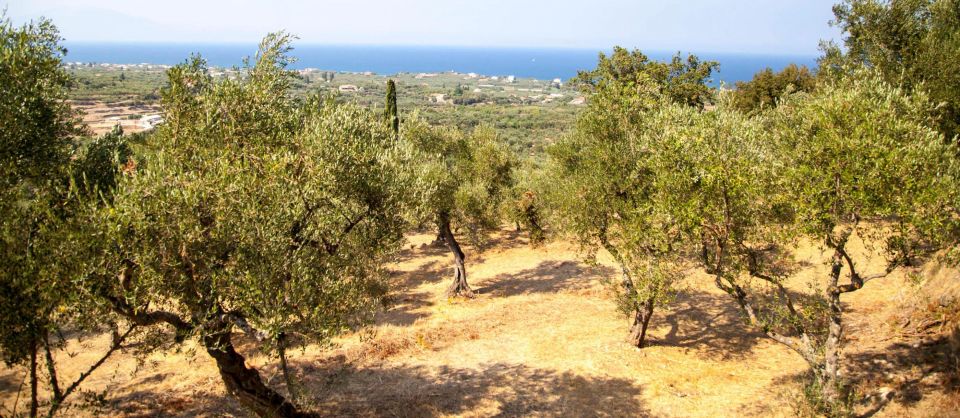 Zakynthos: Private Tour With Wine & Olive Oil Tasting - Exploring Zakynthos