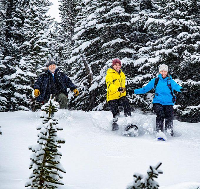 Banff/Jasper: Canadian Rockies Helicopter & Snowshoe Tour - Booking Information