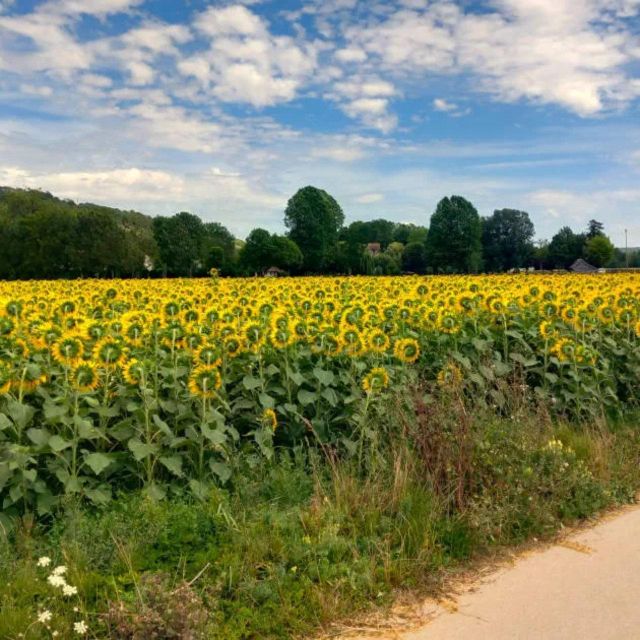 Bike Tour From Vernon to Giverny With Local Guide - Getting Ready for the Ride