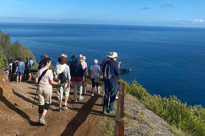 Breakfast Bushwalk & Clifftop BBQ Tour - Pricing and Inclusions