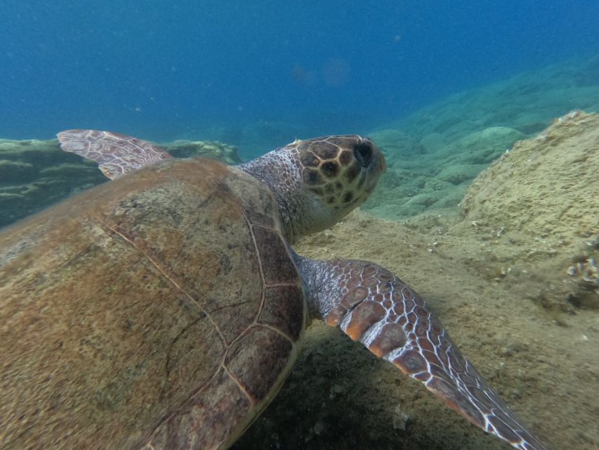 Heraklion: Beginner-Friendly Snorkeling Trip - Final Words