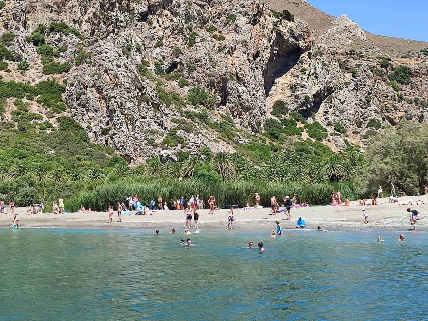 Heraklion: Preveli Palm Beach Boat Trip & Rethymno Town Tour - Customer Reviews and Experiences