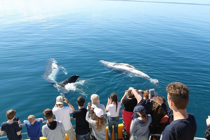 Spirit of Hervey Bay Whale Watching Cruise - Onboard Facilities and Services