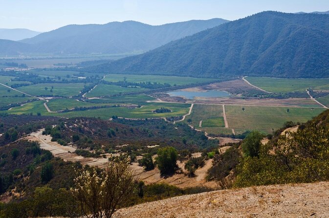 Casablanca Valley & Casa Del Bosque - 3 Vineyards - Full Day - Key Points