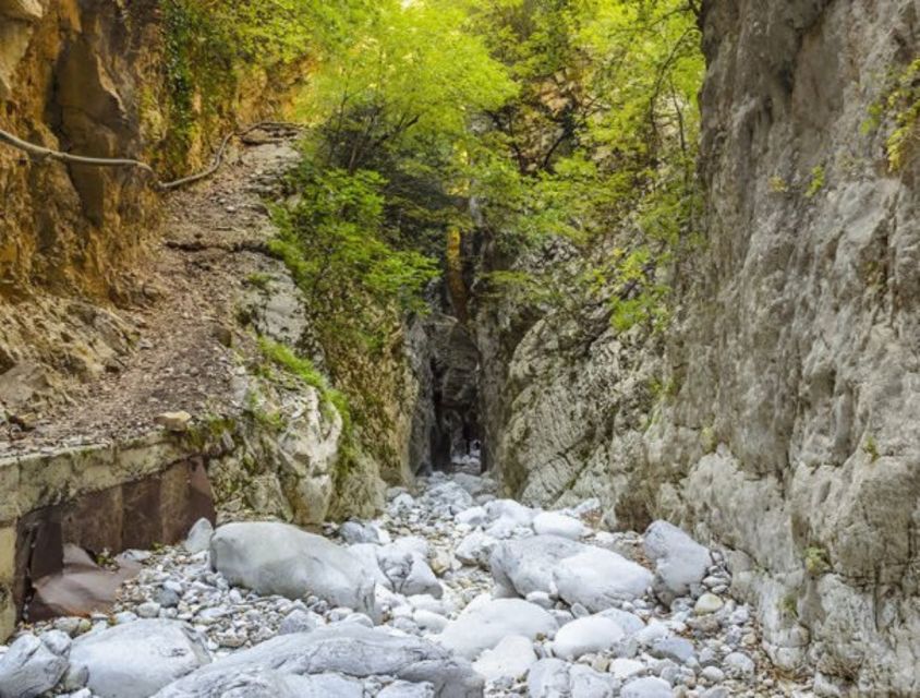 From Kalamata: Ridomo Gorge Hiking Tour With Greek Coffee - Key Points