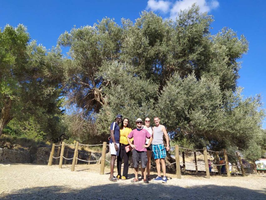 From Lasithi Area: Richtis Gorge Experience - Key Points