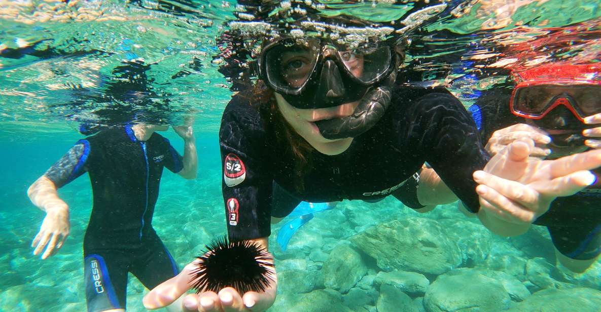 Heraklion: Beginner-Friendly Snorkeling Trip - Key Points