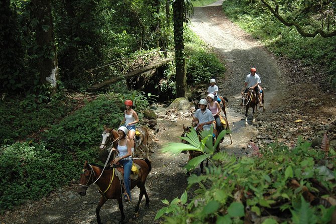 Horseback Riding Through the Jungle - Traveler Experiences