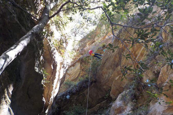 Juggler Canyon and Abseiling Adventure Blue Mountains - Key Points