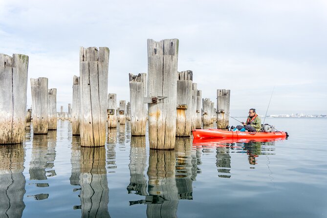 Kayak Fishing in Melbourne, Day & Sunset Tours - Key Points