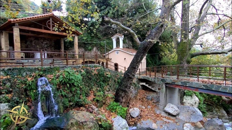 Private Tour in the Chestnut Forest of Steni Evia - Key Points