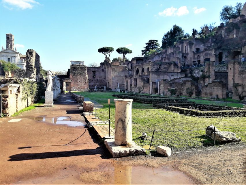 Rome: Vatican, Colosseum & Main Squares Tour W/ Lunch & Car - Key Points