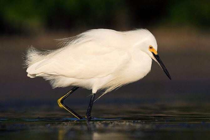 Safari Float and Wild Life Experience in Arenal - Tour Overview