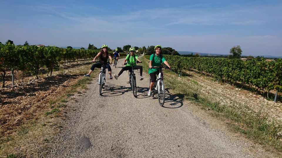 Saint-Martin-d'Ardèche: Electric Bike Wine Tour & Tasting - Key Points