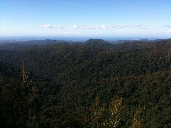 Springbrook, Natural Arch & Numinbah Valley + Hot Air Balloon With Breakfast - Key Points