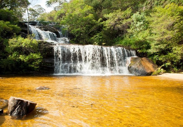 Sunset Blue Mountains Wilderness & Waterfall Tour From Sydney - Key Points