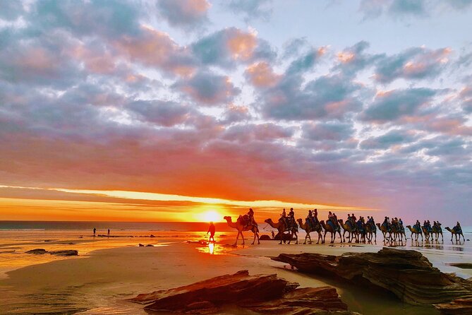 1 Hour Broome Sunset Camel Tour - What to Expect on the Tour