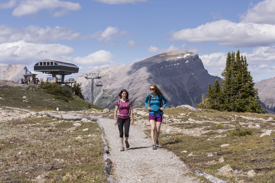 Banff: Sunshine Sightseeing Gondola and Standish Chairlift - Activity Overview