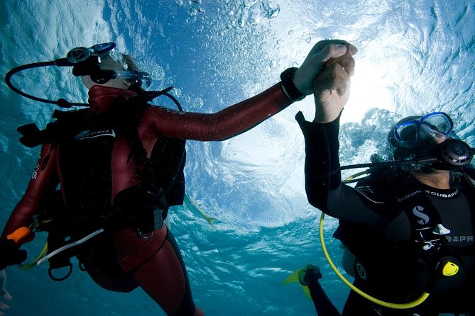 Beginners Scuba Diving Experience in Gran Canaria - Experience Details