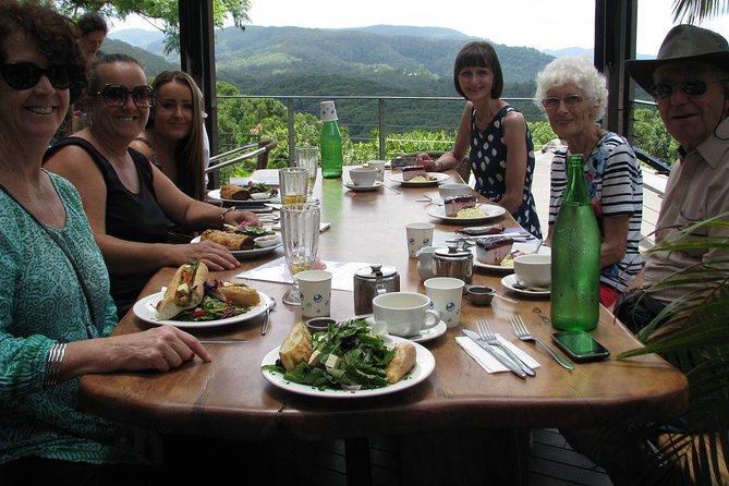 Beyond Byron Hinterland Tour - Experience Local Culture