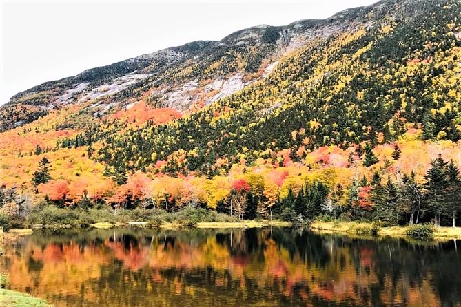 Boston to New Hampshire Fall Foliage White Mountains Day Trip - Tour Overview